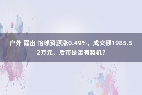 户外 露出 怡球资源涨0.49%，成交额1985.52万元，后市是否有契机？