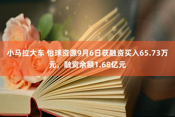 小马拉大车 怡球资源9月6日获融资买入65.73万元，融资余额1.68亿元