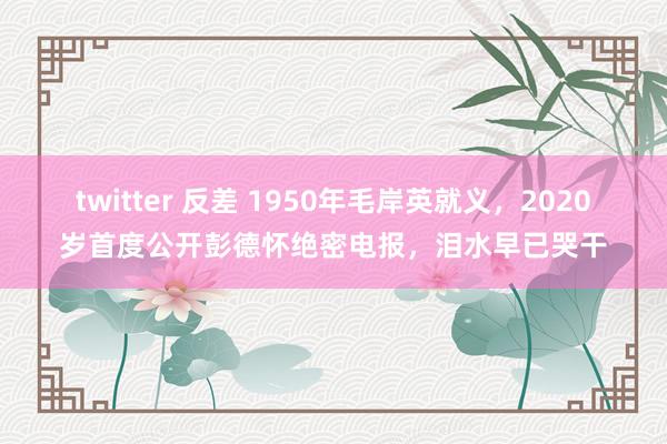 twitter 反差 1950年毛岸英就义，2020岁首度公开彭德怀绝密电报，泪水早已哭干